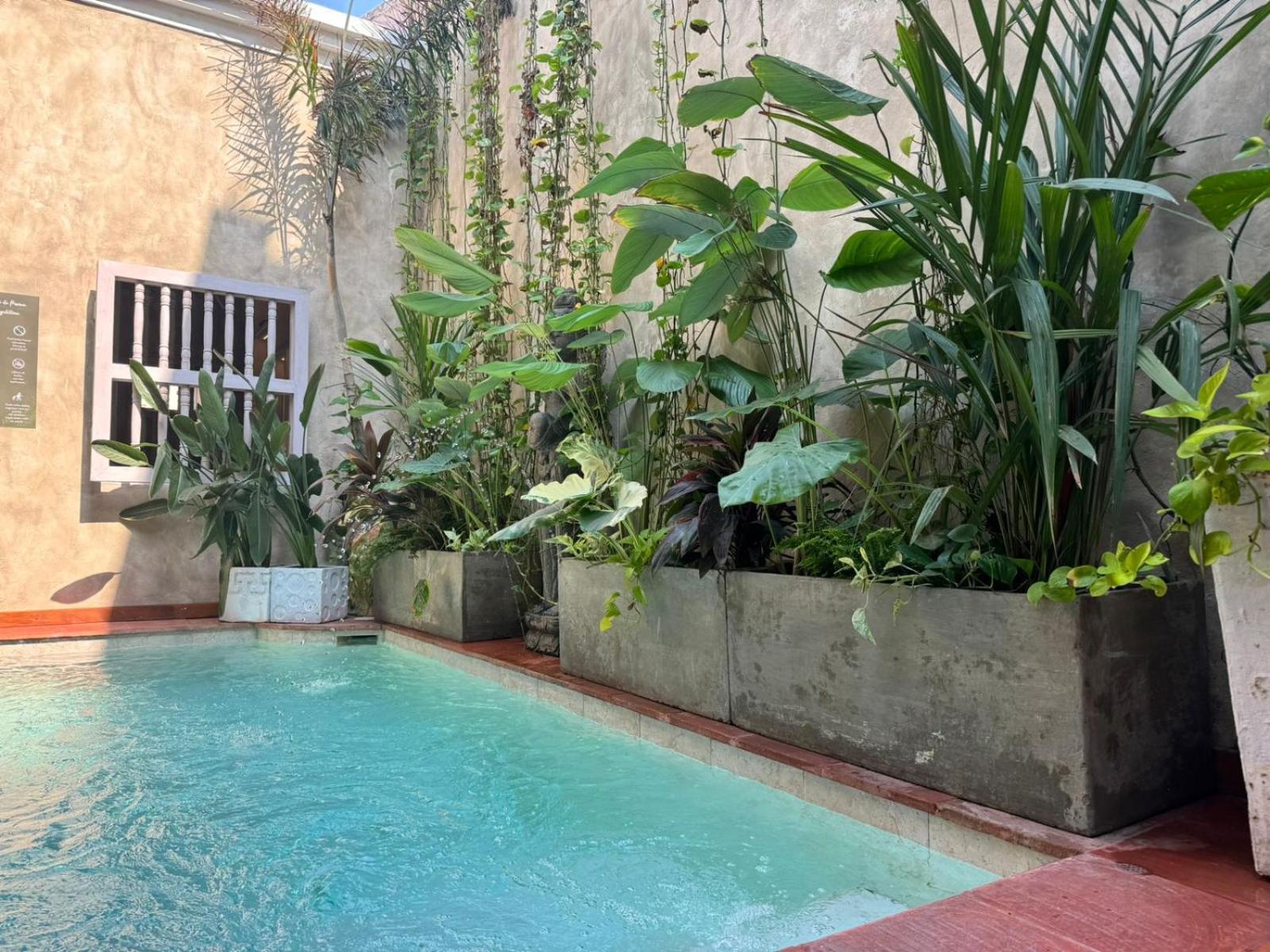 Moet Cartagena Hotel Boutique Adutls Only Exterior photo